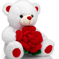 Nouveau design 100% recycler la farce en peluche rose blanc étreignant Rose fleur doux ours en peluche pour cadeau de saint valentin