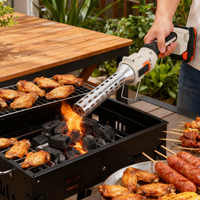 Vertak 550 ℃   Allumeur de charbon de bois électrique sans fil rechargeable, allume-feu rapide pour barbecue, fumoir, foyer