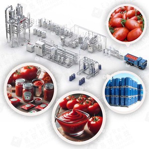 Máquina para Fabricación de Pasta Tomate Personalización Industrial Directa desde Fábrica Servicio Rápido y Seguro - Product Image 1