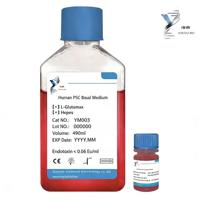 Milieu de culture cellulaire sans sérum pour cellules souches mésochymales humaines (hMSCs), en matériau plastique, durée de conservation 1 an, YUNTUO BIO YM003 pour