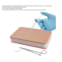 Modelo de inyección de silicona médica de doble cara Módulo de simulación de doble cara para práctica de estudiantes Maniquí de piel texturizada de PVC