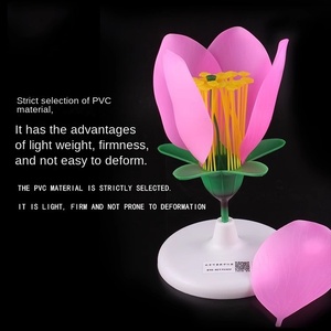 نموذج تشريحي مكبر لأجزاء داخلية للزهور: أسدية، بتلات، زهرة عباد الشمس، زهرة التفاح، زهرة اللفت، مصنوع من البلاستيك - Product Image 5