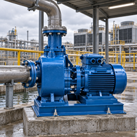 Pompa Air Sentrifugal Elektrik Self Priming untuk Drainase Pabrik, Irigasi, dan Pengolahan Air dengan Rumah Pompa Besi Cor dan Motor Tembaga