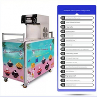 Machine à glace en flocons compacte coréenne 110V/220V Économie d'énergie pour la maison et la préparation de desserts de fête