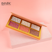 Palette de maquillage pour le visage IMAGIC en gros, imperméable, longue tenue, haute pigmentation, blush, illuminateur, palette multifonctionnelle