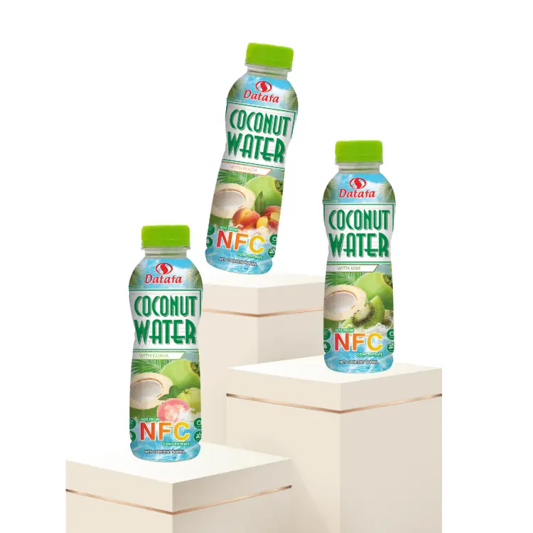Coconut Drink Nfc Health Supplement Fruit Vegetable Juice Juice Can Customized Packaging Carton Box Vietnam Product Manufacturer