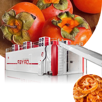 Fruit continu-banddroger, persimmon-banddroger, persimmon-gaasbanddroger, industriële fruitdroogmachine