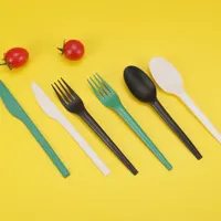 2022 QUANHUA CPLA Biodegradable चाकू के साथ डिस्पोजेबल कटलरी सेट नैपकिन खाद कटलरी