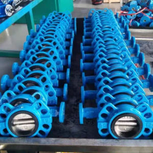 Vanne papillon avec levier manuel pour système d'extincteurs, ouverture et fermeture rapides - Product Image 2