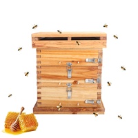 Nueva Caja de Abejas China de Madera de Ciprés con Cera Hidrolizada, Colmena de Abejas de Paredes Gruesas, Cubo Tradicional para Atraer Jorobas de Abejas