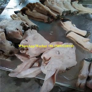 Machine à épiler les têtes de vache, de mouton et de porc / Éplucheur à pattes de porc et de mouton / Machine à épiler les têtes et les sabots de trotters à vendre - Product Image 4