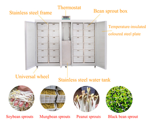 High Efficiency Energy Saving Bean Sprout Making Machine Bean Sprout Making Machine For Wholesales - Product Image 4