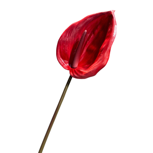 Bất động cảm ứng nhân tạo Hòa Bình lily hoa thân dài <span class=keywords><strong>Calla</strong></span> Lily cho lọ trong nhà đám cưới trang trí nội thất - Product Image 2