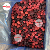 Export van concurrerende prijzen, groothandel, bulkdistributie, nieuw seizoen IQF diepvries gemengd fruit, gemengde bessen