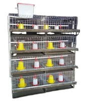 Type H galvanisé 3/4 niveaux capacité 120-320 oiseaux bébé poulets poulette couveuse Cage équipement de volaille pour ferme en Ouganda
