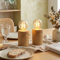 Lámpara de Mesa LED con Base y Globo de Vidrio Ámbar, Funciona con Batería, Luz de Noche para Decoración de Dormitorio