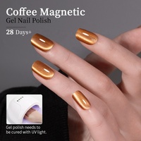 R S Nail 9ml Caramel Brun Café Chat Gel Magnétique Nail Supplies Automne Eau Lumière Cat Eye Gel Vernis Nail Art Vernis
