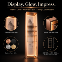 Vitrine moderne en verre translucide rétroéclairée par LED, étagères en acier inoxydable, séparateur de pièce à motifs, étagère à vin décorative