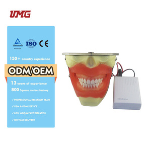 <span class=keywords><strong>Precio</strong></span> de fábrica, Kit de educación en ciencias dentales, modelo de extracción de anestesia - Product Image 3