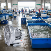 Souffleur d'air robuste anti-corrosion à anneau, haute capacité, pour l'aération en aquaculture