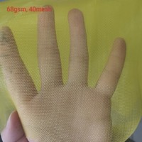 Filet de protection transparent anti-insectes pour serre, maille 40, pour jardins et agriculture