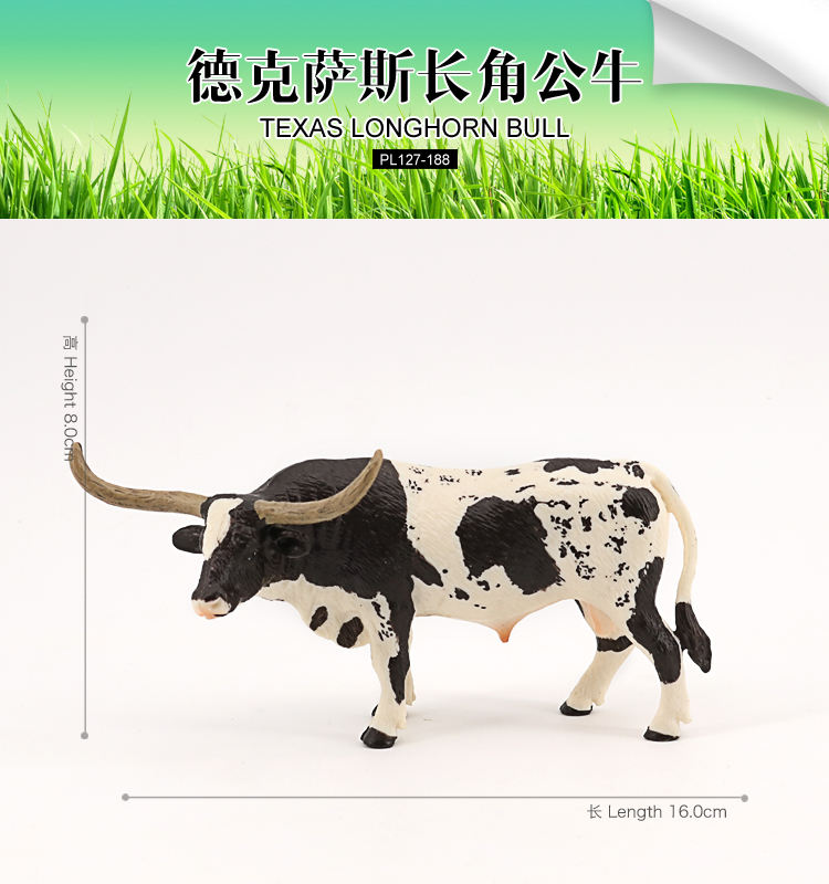 188 Taureau Longhorn du Texas