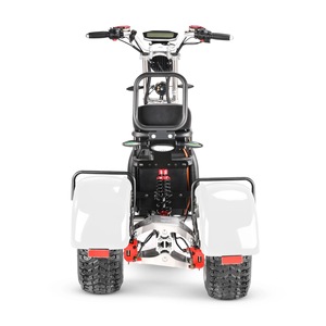 Triciclos de 3 Ruedas con Motores Dobles de 2000w y 4000w y Controles Dobles, Scooter Eléctrico ZBL-CITYCOCO de 3 Ruedas y 4000w, ZBL-CITYCOCO ZBL-CI - Product Image 6
