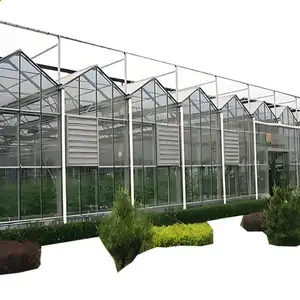 Multi Span Agricultural Venlo Greenhouse solar Dryer Wiggle Wire And Channel Intelligent Automated Commercial glass greenhouses