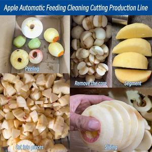 Commerciële appelontpitter en -schilmachine, automatische fruitwas- en schilmachine, <span class=keywords><strong>mango</strong></span>-appel-fruit schilmachine met transportband - Product Image 6