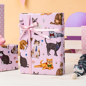 Cats With Accessories Gift <b>Wrap</b> Paper Roll <b>Pink</b> Art Paper Double Side Coated Eco-Friendly 80GSM Digital Printing - Product Image 2