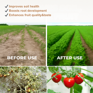 Cao Nitơ phốt pho kali cân bằng hữu cơ nước hòa tan phân bón trong bột Nhà Nước cho lá ứng dụng - Product Image 4