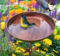 Bain d'oiseaux de jardin avec piquet, mangeoire à oiseaux autoportante en métal, abreuvoir pour oiseaux sauvages, décoration de jardin extérieur