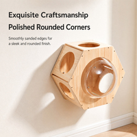 Nichoir mural en bois pour chat, forme hexagonale, fenêtre transparente, entrées multiples, accessoire pour arbre à chat mural