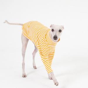 Qiqu perlengkapan hewan peliharaan kaus garis kustom ramah lingkungan lucu pakaian Anjing Greyhound Italia 100% katun bergaris kaus kain bergaris - Product Image 2