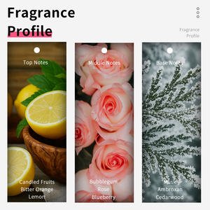 VILILY 75ml Ladies Perfumes Supplier Wholesale Fruity Floral Mist Body Charming Fragrance Spray Pocket Parfum <strong>Women</strong> Perfume - Product Image 4