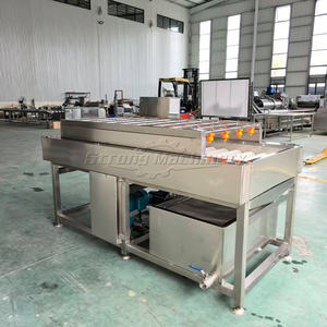 Máquina para Lavar y Clasificar Mariscos y Frutas con Motor |   Lavadora Ecológica para el Procesamiento de Manzanas y Naranjas - Product Image 2