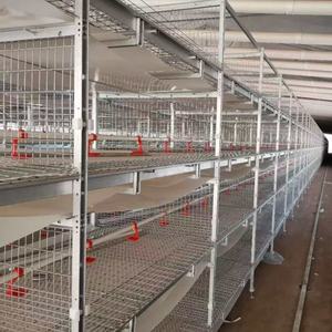 Pouliche galvanisée à chaud avec batterie automatique à 4 niveaux en forme de H, cage d'élevage de poulets de chair au meilleur prix, durée de vie de 20 ans - Product Image 2