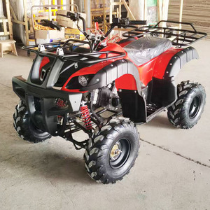 Trung Quốc Nhà Máy Của Nhà Sản Xuất Khí Powered Dune Buggy Bên Bờ Biển Cưỡi Bãi Biển Buggy Để Bán - Product Image 5