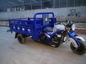 Novo Estilo de 250cc Triciclo de Passageiros E A Gasolina de Combustível Da Motocicleta de Três Rodas Triciclo de Carga Da Motocicleta