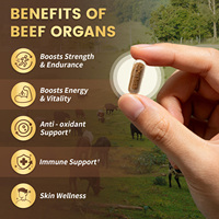 Complément GMP pour la Vitalité Masculine : Organes de Bœuf Nourri à l'Herbe 700mg (Cœur, Foie, Rein, Pancréas), Tribulus, CoQ10, Reishi, Zinc, D3
