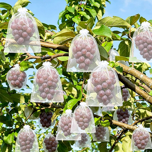 Sacs de <span class=keywords><strong>protection</strong></span> pour raisins, sacs en filet pour fruits et légumes <span class=keywords><strong>contre</strong></span> les insectes pour les vignobles - Product Image 1