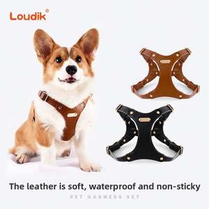 Loudik - Arnés de Cuero Suave para Perros, Correa para Pasear Perros, Cuerda para Perros Corgi de Tamaño Pequeño, Venta al por Mayor - Product Image 2