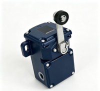 Nouveau capteur de fin de course en stock TD250-02/02Z-RMS – Fournisseur d'or fiable, garantie d'un an
