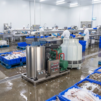 Máquina de Hielo Industrial Haiyue de 1, 2 y 3 Toneladas, Máquina de Hielo en Escamas de Agua de Mar para Refrigeración de Mariscos Congelados en Barcos Pesqueros