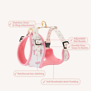 كلب بتصميم خاص امتصاص صدمات عالي الكثافة سهل الارتداء قابل للتحويل جميل للكلاب الكبيرة المتوسطة - Product Image 4