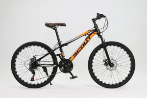 Cheap Price 24 Inch Steel Frame 21 Speed Double Disc Brake Suspension Mountain Bike Bicycle