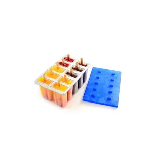 Stampi per gelato Pop-Stick in plastica di alta qualità Eco friendly, il più recente Design popolare in plastica, stampi per bastoncini di ghiaccio
