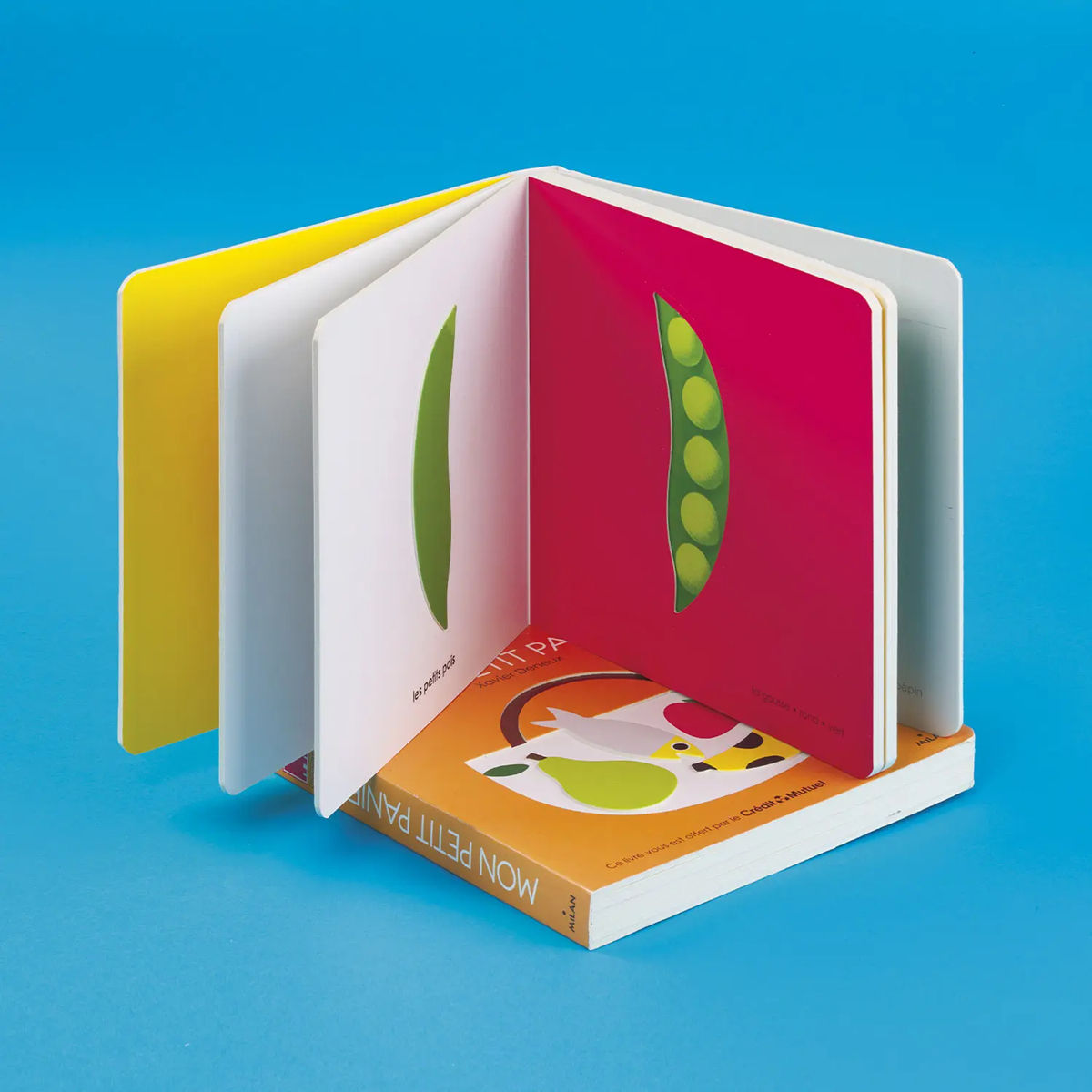 Impression de livres cartonnés