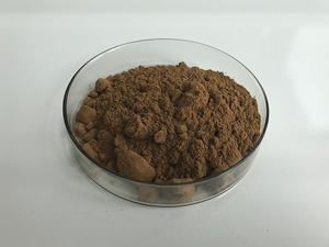 Природный источник полисахаридов, экстракт антродии камфоры - Product Image 2