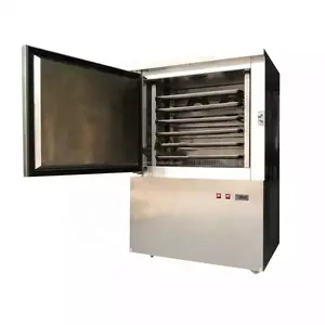 Liquid Nitrogen Cabinet Type Freezer Iqf Quick-freezing Instant Frozen Cold 5/10 Plate Blast Freezer For Durian